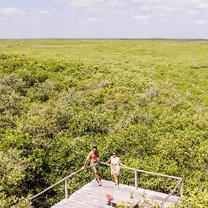 Vida Silvestre , Tulum México